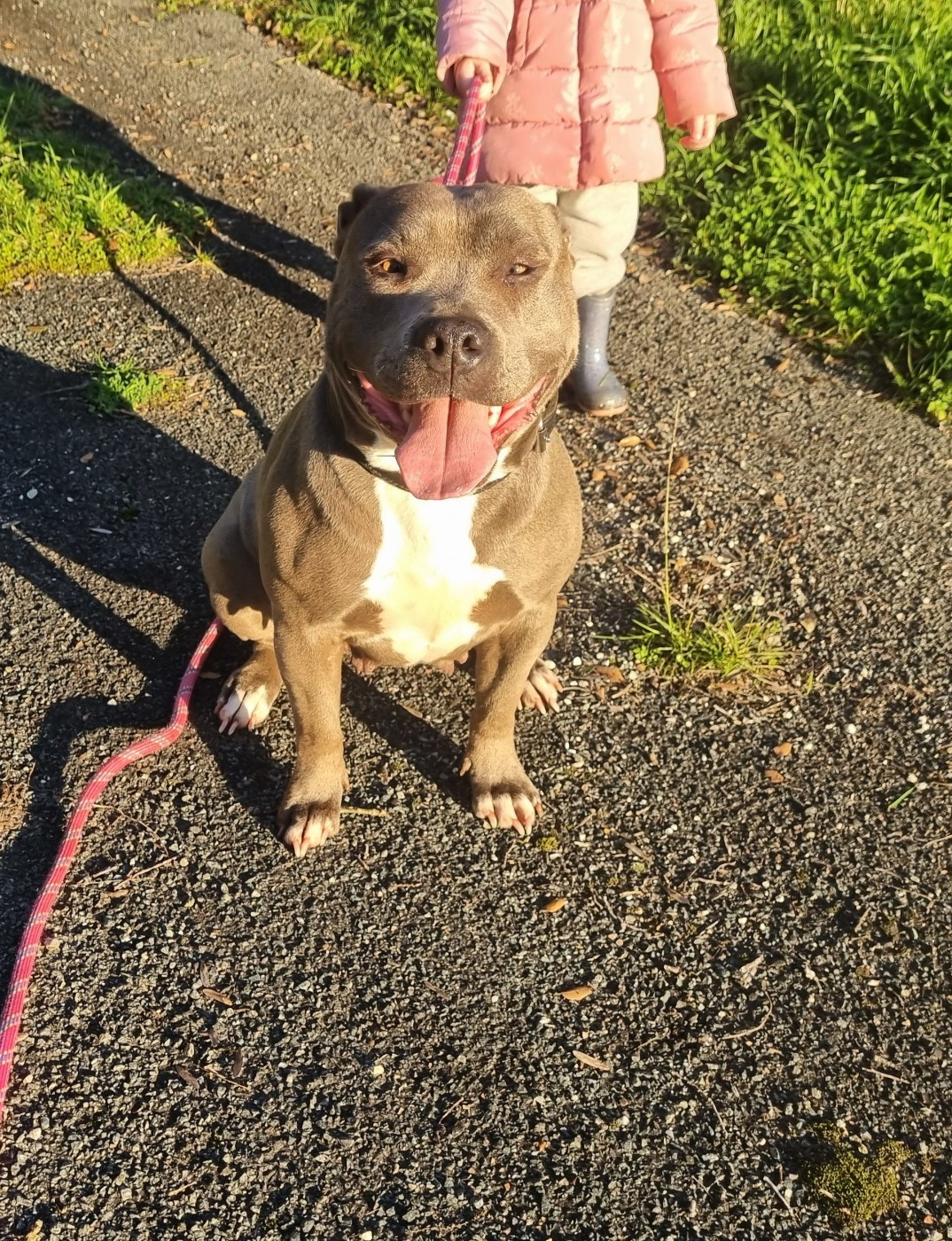 Tila Du Petit Brillouard